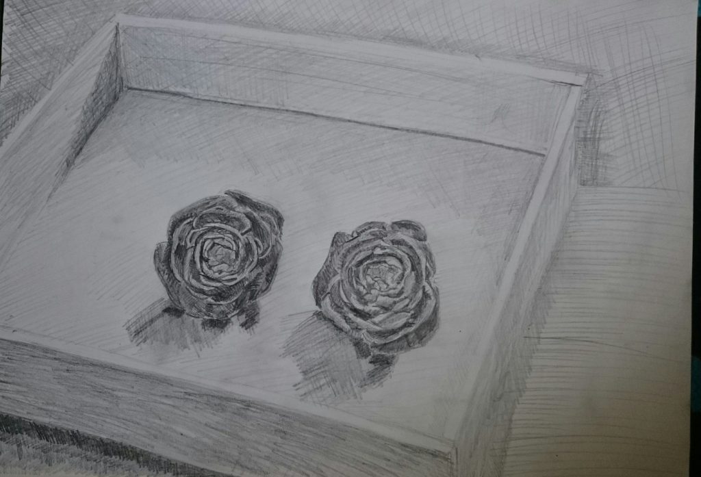 OCA Drawing 1, Part 2, Project 1, Exercise 1 -Detail and&nbsp;Tone