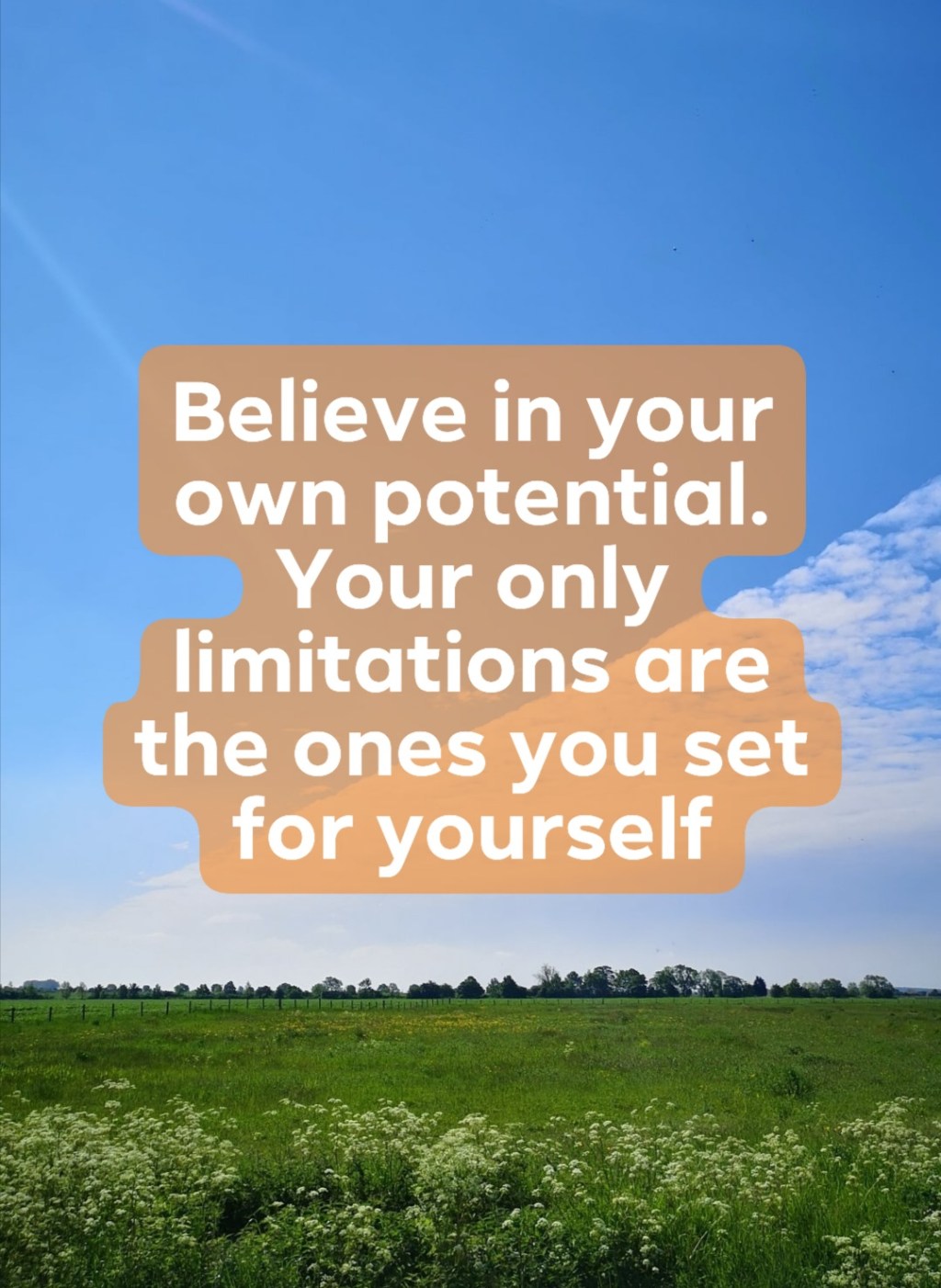 Remedying Back Pain, Injury and Multiple Sclerosis using Traditional Chinese Medicine