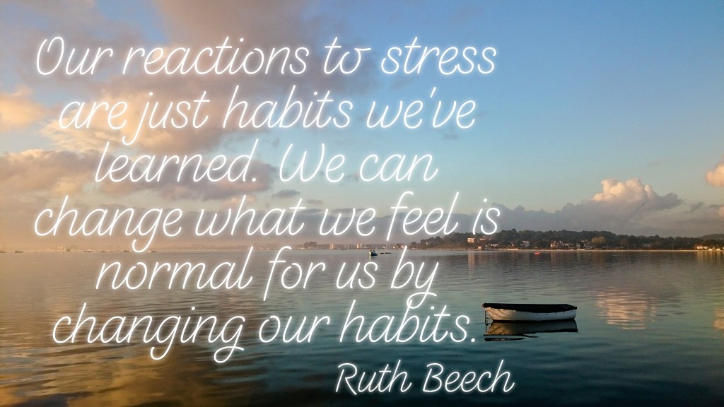 How to Stay Calm in&nbsp;Chaos